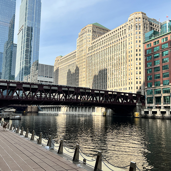 The Mart in Chicago