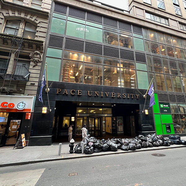 Educational facilities in FiDi